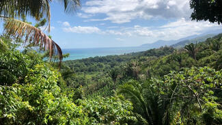 Archäologische Forschungen im Nordosten von Honduras Archäologische Forschungen im Nordosten von Honduras