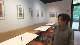 Video zur Ausstellung "Spuren der Zeit" mit Pastellarbeiten von Hélène Michel