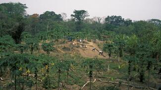 Vortrag DAI: Wenn Mythen mit den Bäumen fallen.