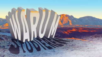 30. Plakatwettbewerb des DSW in Bonn