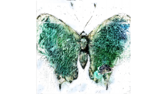 Todeslinien im kaspischen Meer-41° 56′ N, 50° 40′ E